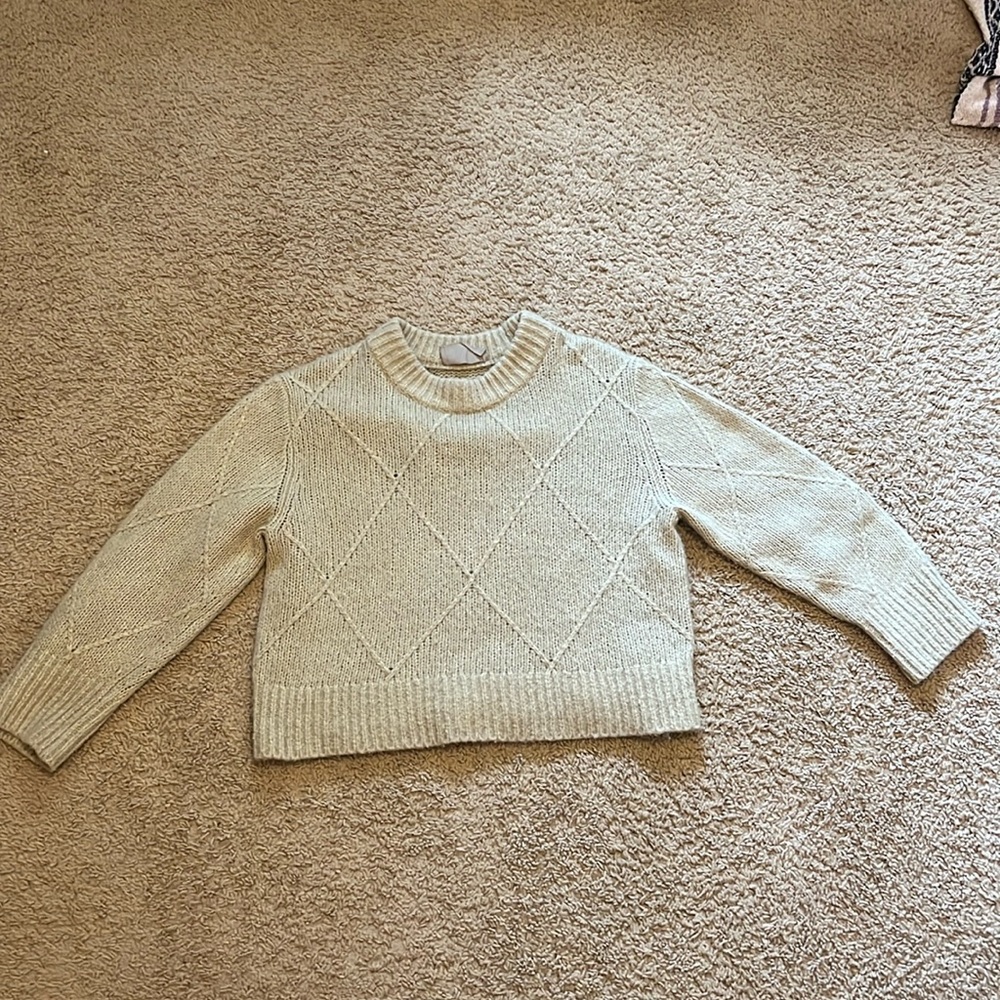 Everlane Sweater (Size S)